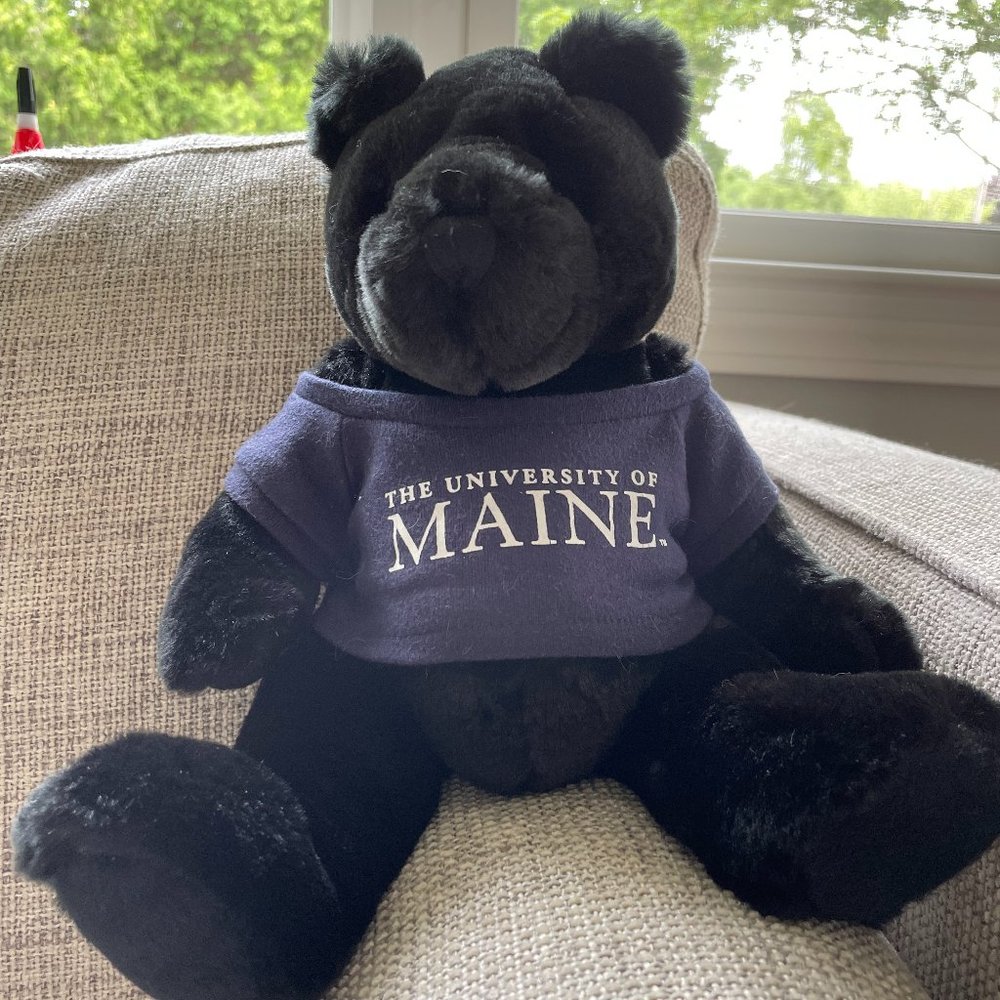 University of Maine